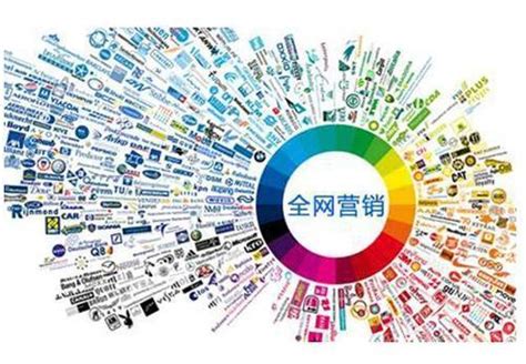 網絡推廣營銷實戰(zhàn)全攻略與推廣員高效執(zhí)行指南